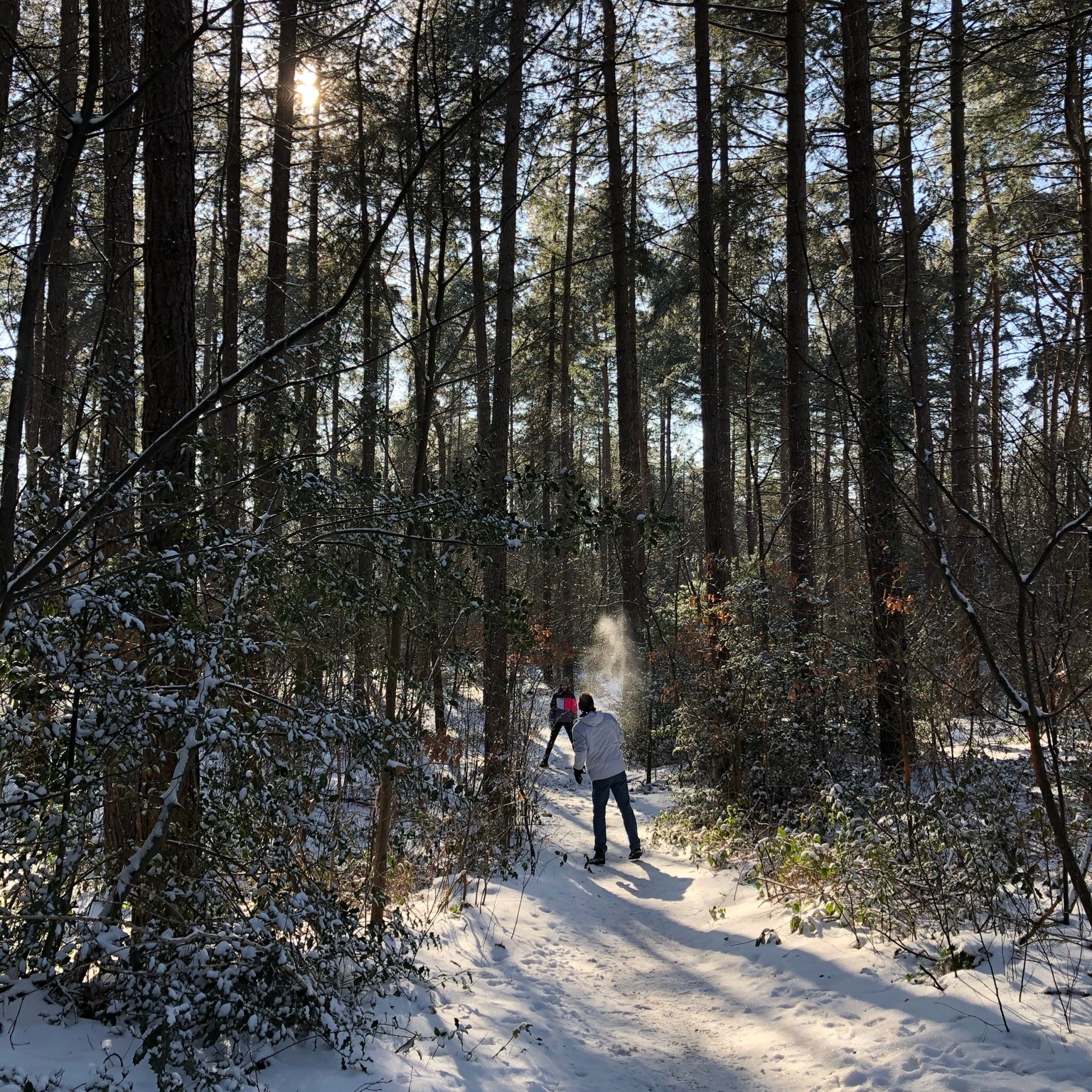 Nationaal Park Bosland