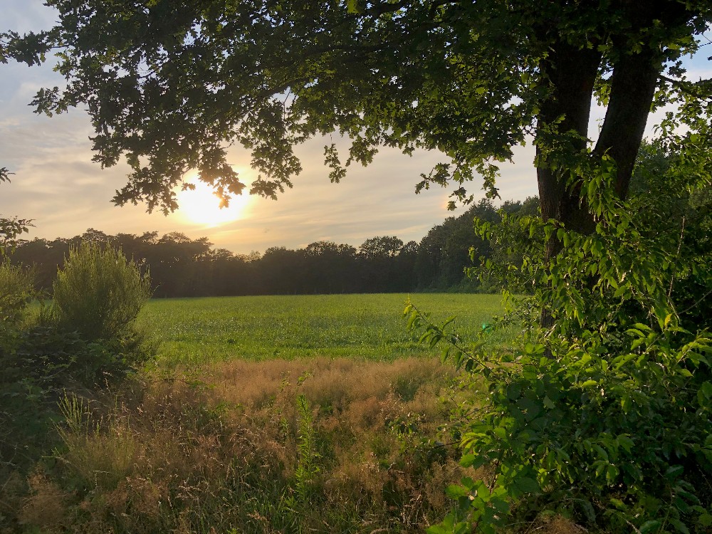 De Groote Heide