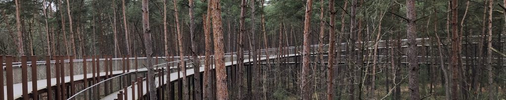 fietsen door de bomen