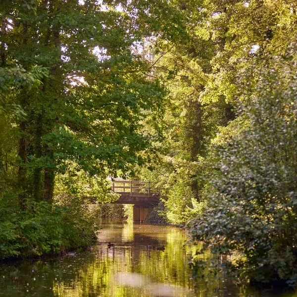 Center Parcs Erperheide