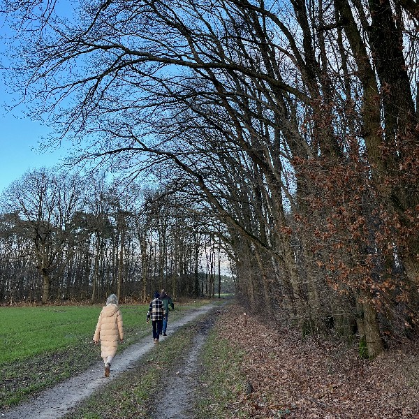 Wandelen