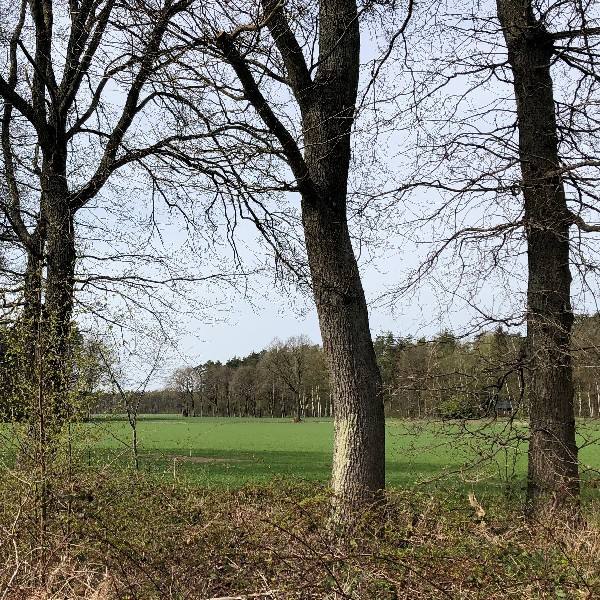 Wandelen in Kempen-Broek